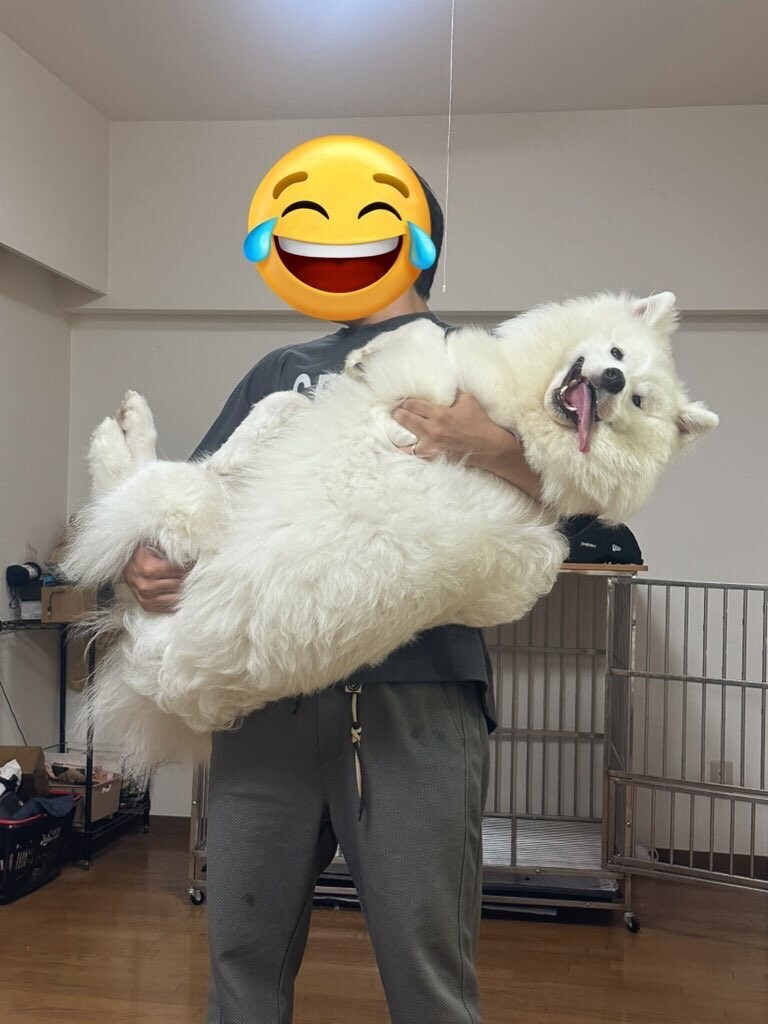 사모펀드의 진화 과정.jpg_2.jpg