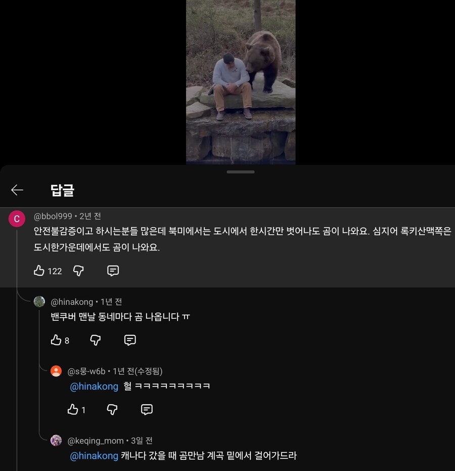 한국인들은 모르는 외국에서 곰만날 확률_1.jpg