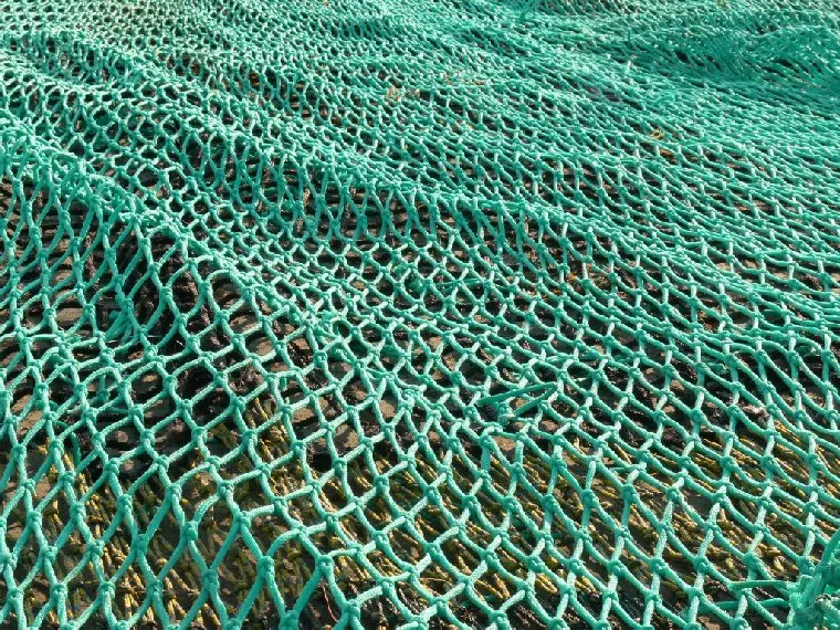 원양어선 유튜브 볼때마다 드는 생각과 현실_1.webp