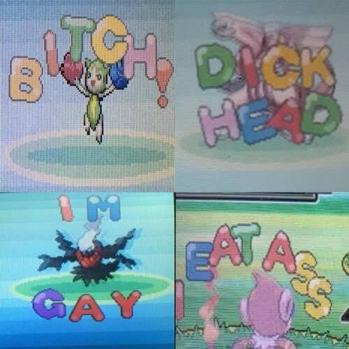 포켓몬에서 볼 커스텀 기능이 있었는데 사라진 이유.jpg_1.jpg