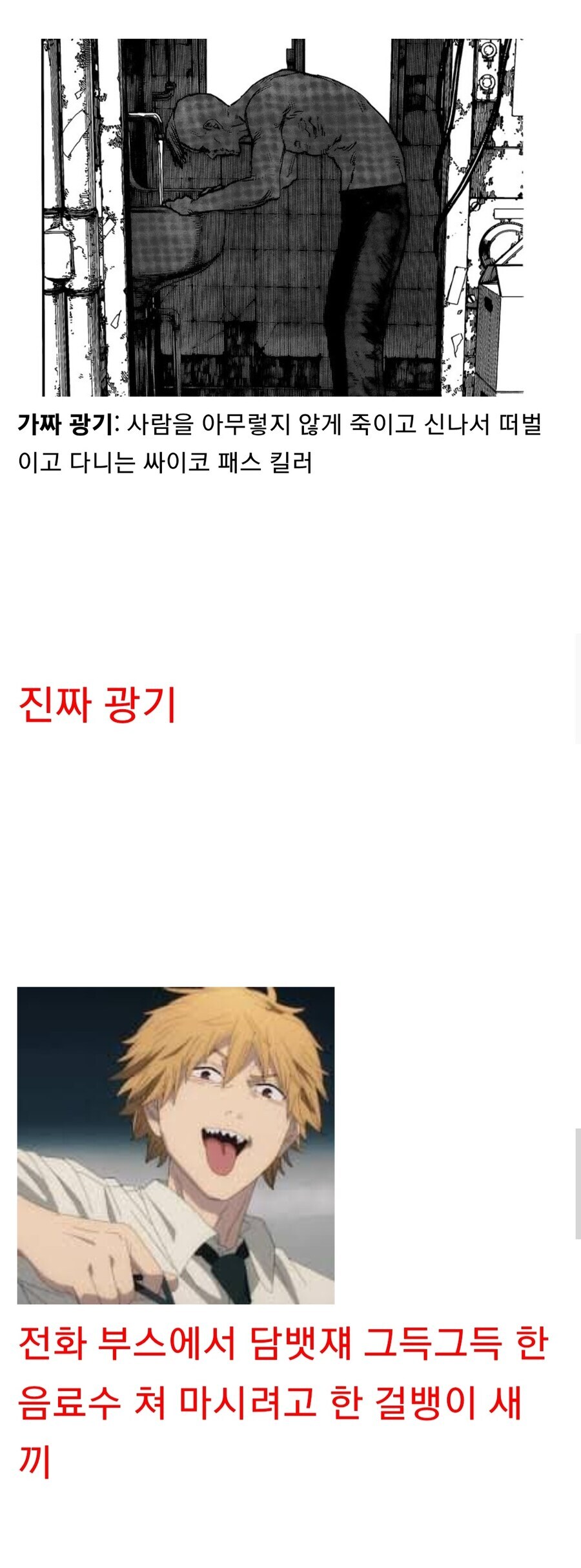 체인소맨 레제편 가짜 광기 vs 진짜 광기_1.jpg