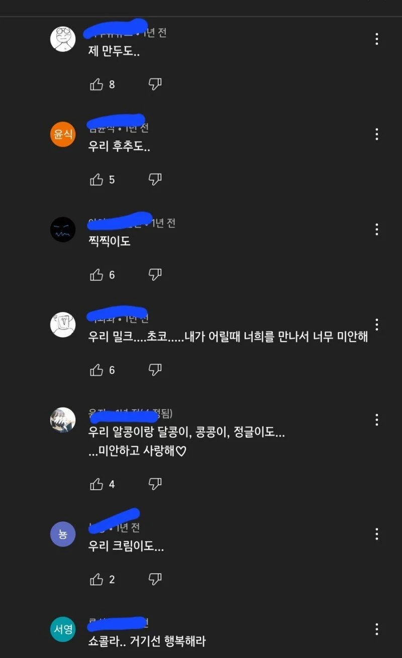 햄스터를 그리워하는 집사들_2.webp