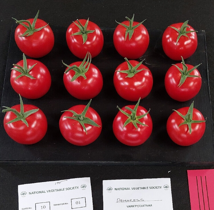 영국에 있는 독특한 대회_1.jpg