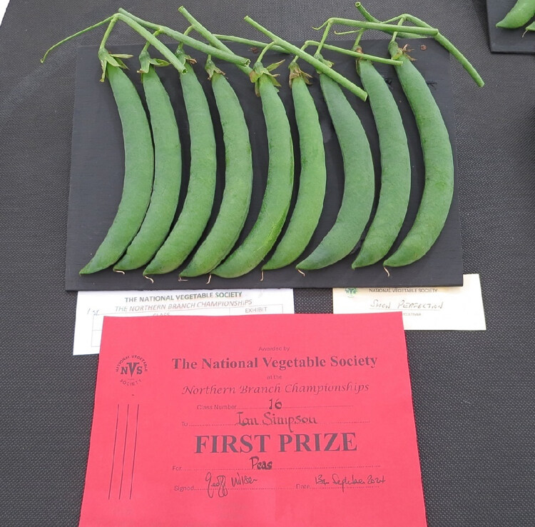 영국에 있는 독특한 대회_4.jpg