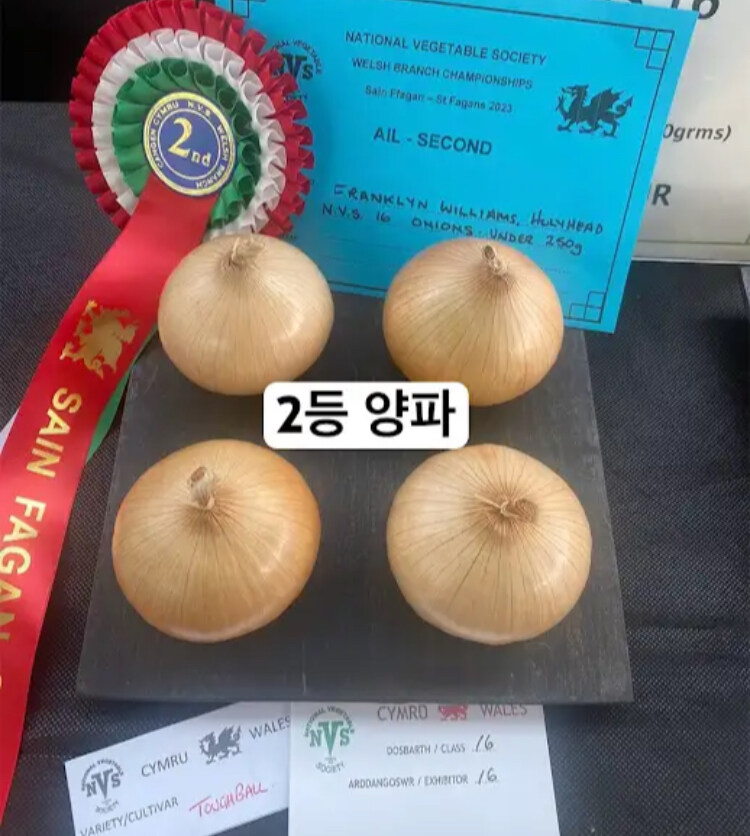 영국에 있는 독특한 대회_7.jpg