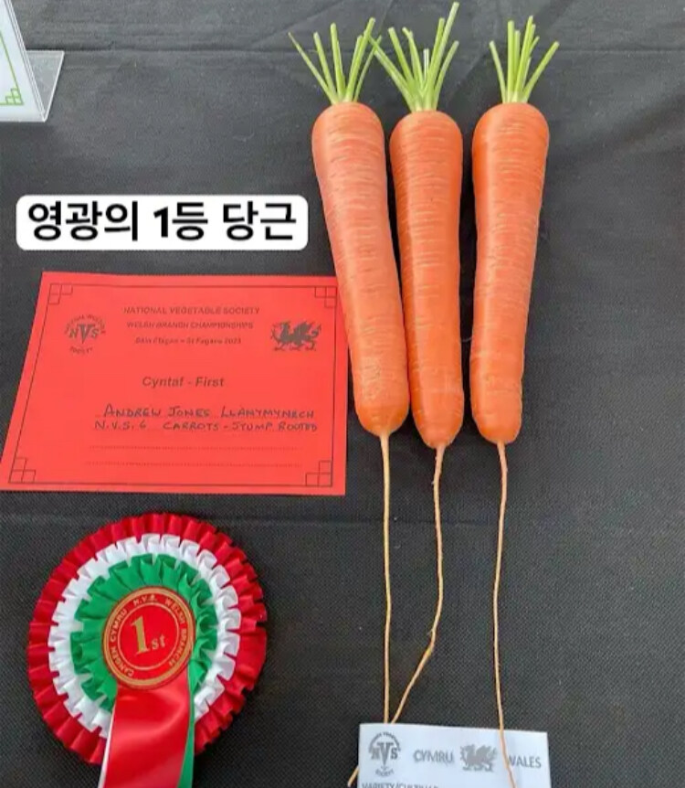 영국에 있는 독특한 대회_10.jpg