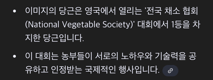 영국에 있는 독특한 대회_11.jpg