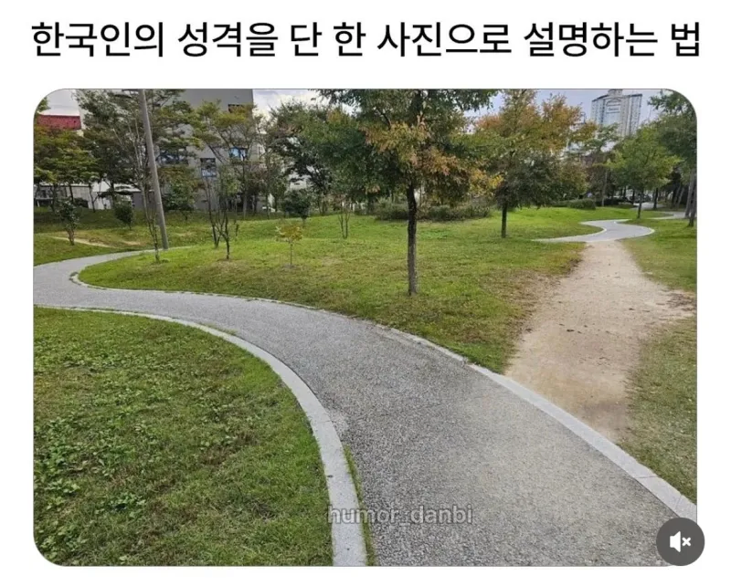 한국인의 성격을 표현한 한장의 사진_1.webp
