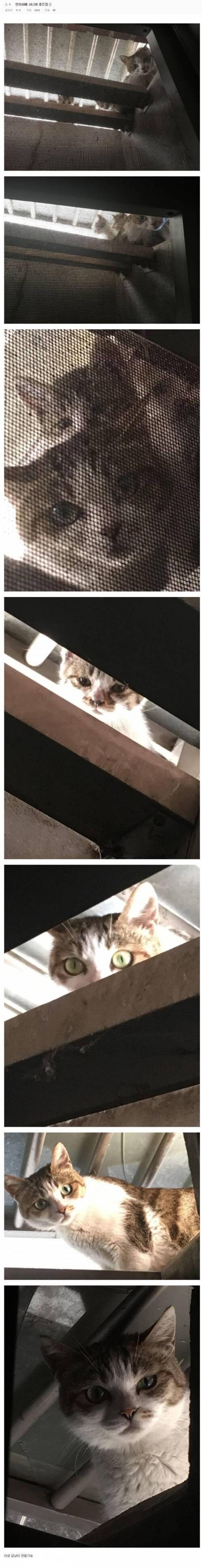 반지하에 사니까 좋은점.jpg_1.jpg