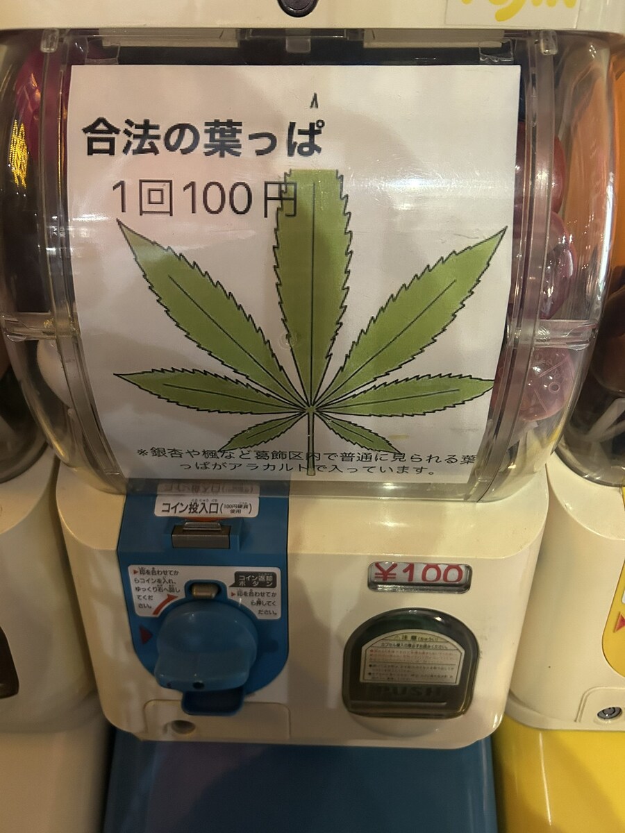 합법 잎사귀 가챠_1.jpg