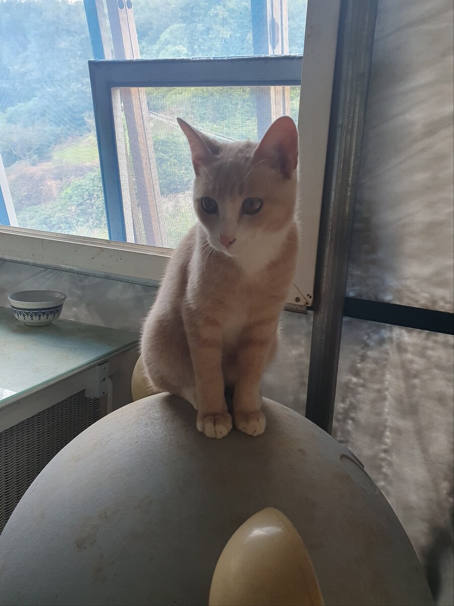 농장 떼껄룩_1.jpg