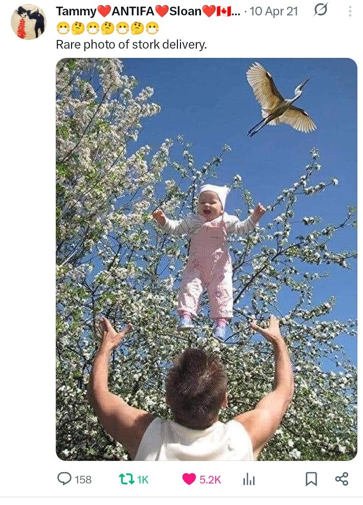 학이 배달한 것 같은 아기 사진.jpg_1.jpg