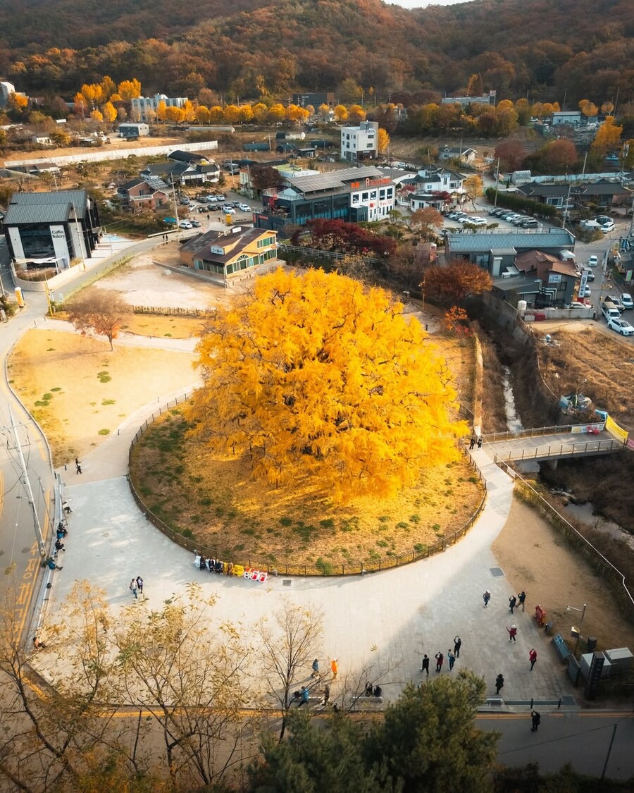 인천대공원의 자랑거리_4.jpg