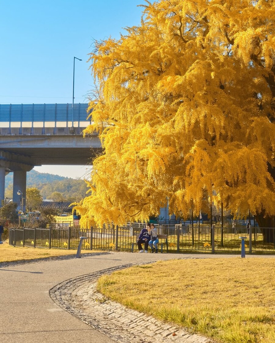 인천대공원의 자랑거리_3.jpg