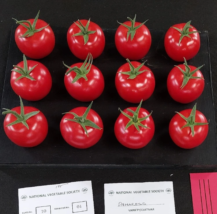 영국의 예쁜 채소대회 수상작들.jpg_1.webp