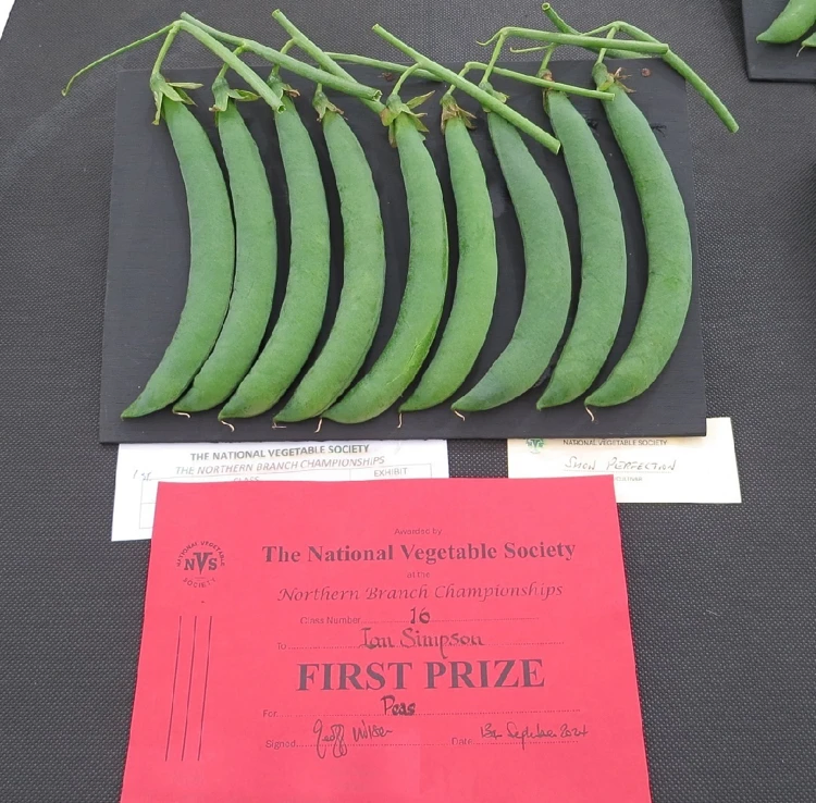 영국의 예쁜 채소대회 수상작들.jpg_4.webp