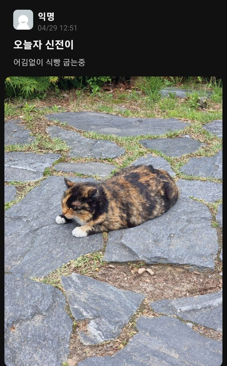 길떼껄룩한테 자꾸 밥 챙겨주지 말라는 이유_1.jpg