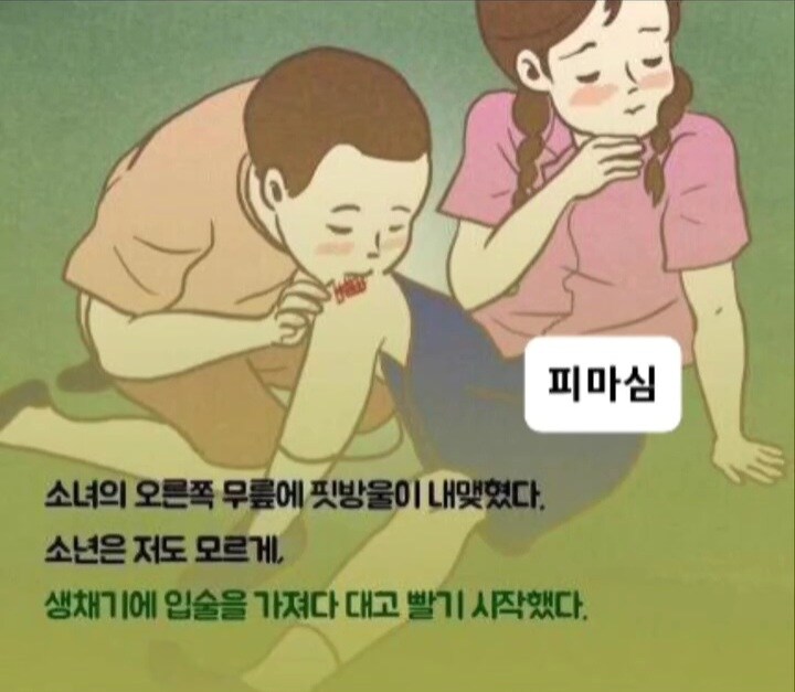 레제편 그 자체인 소설.jpg_3.jpg