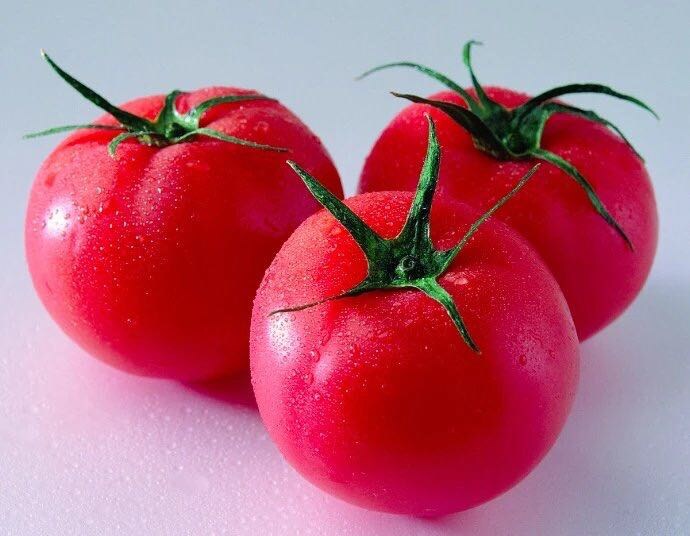 일단 사과하겠습니다._1.jpg