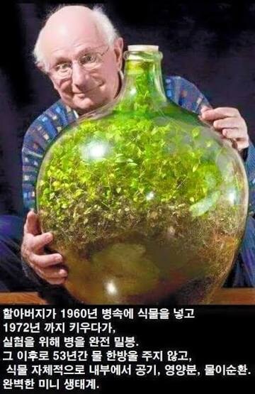 어느 할아버지의 실험으로 탄생한 생태계_1.jpg