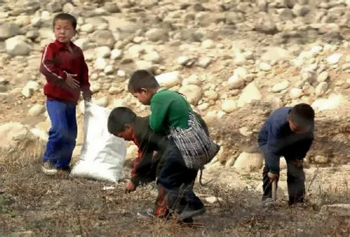 북한 외교관 처지를 요약하는 말.jpg_2.webp