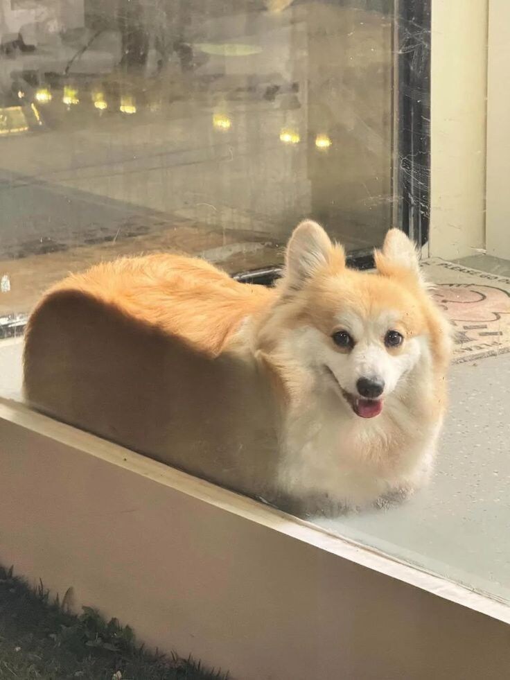 의외로 존맛이라는 식빵.jpg_1.jpg