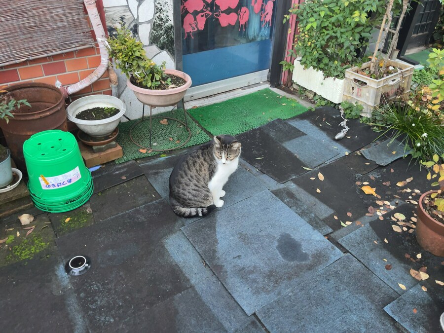 일본, 직원의 접객이 인상적인 고깃집_1.jpg