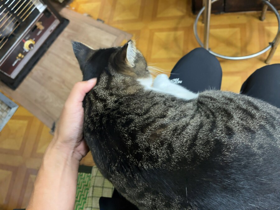 일본, 직원의 접객이 인상적인 고깃집_4.jpg