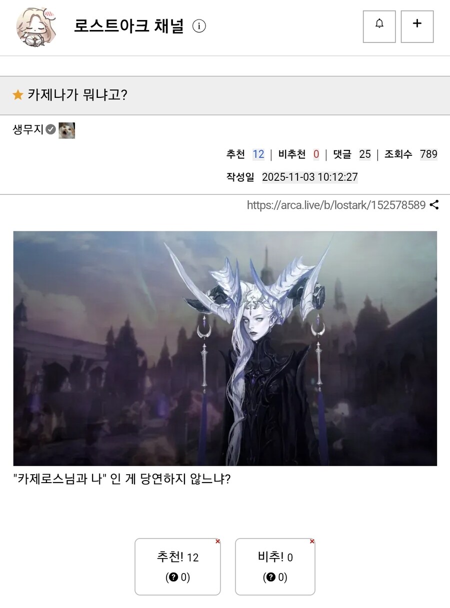 카제나)이제 앞으로의