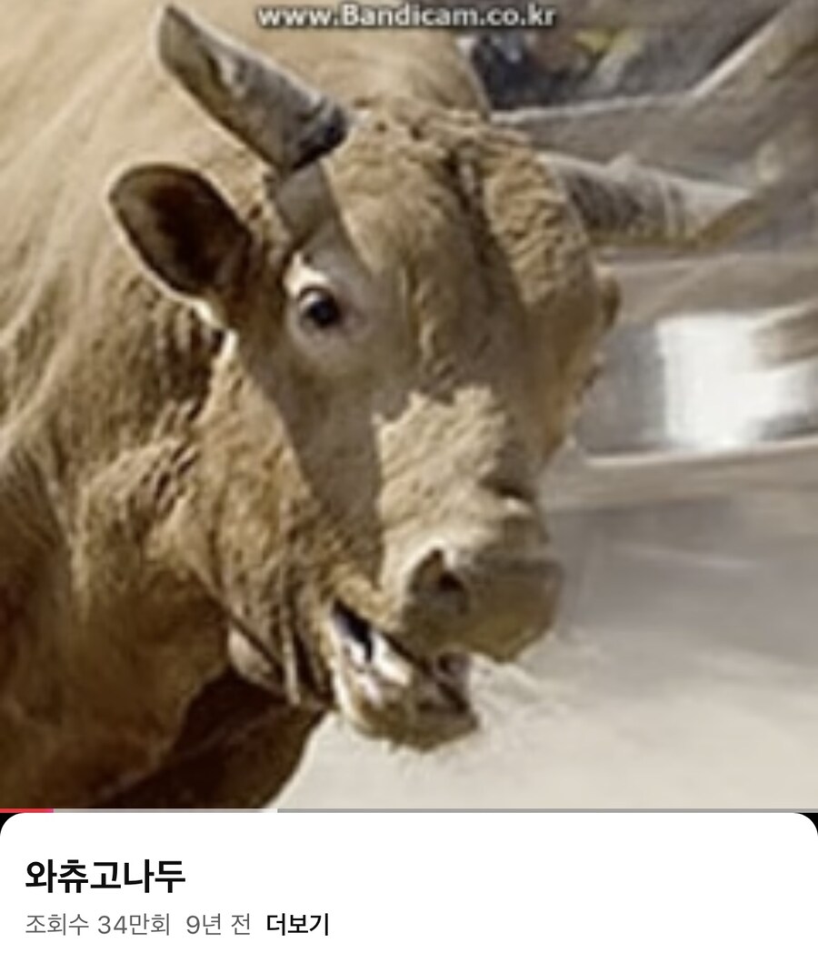 포브스 선정 “앨범 표지를 바꿔야 하는 곡” 1위.jpg_1.jpg