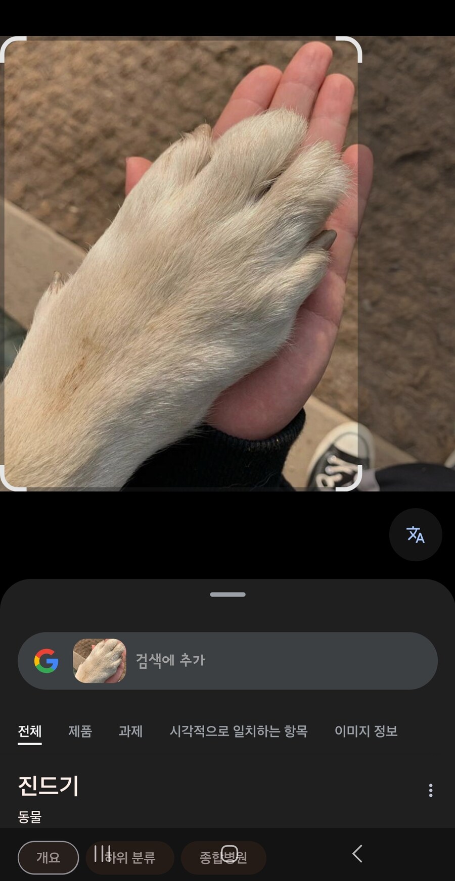 의외로 시골개 발을 찍으면 나오는 것.jpg_1.jpg