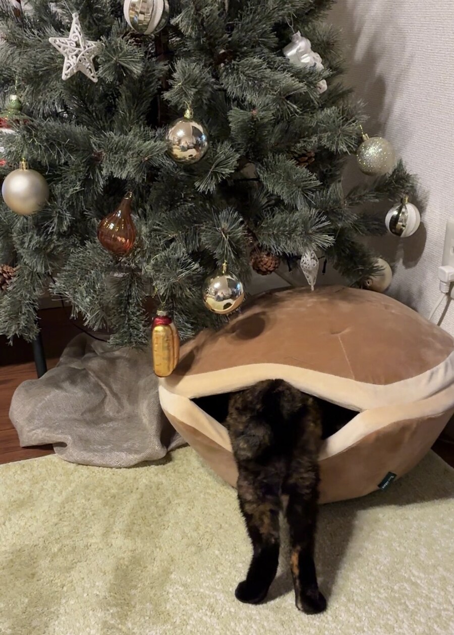 팥소가 빠져 나온 도라야키.jpg_1.jpg