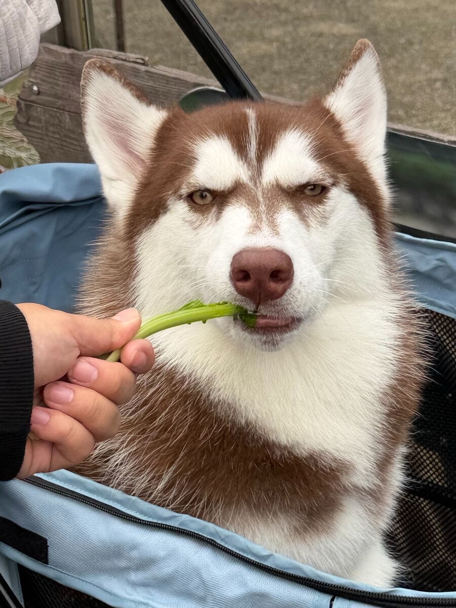 처음으로 맛본 쓴맛.jpg_1.jpg