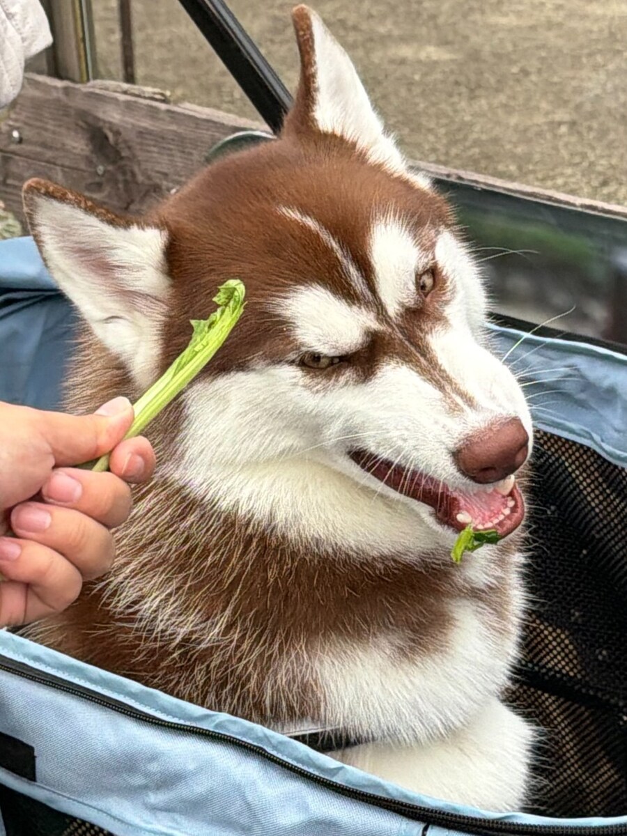 처음으로 맛본 쓴맛.jpg_2.jpg