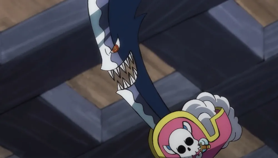 원피스에서 나름 특이했던 설정_5.webp