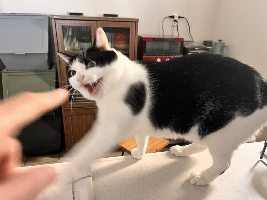 진심이 담긴 표정.jpg_1.jpg