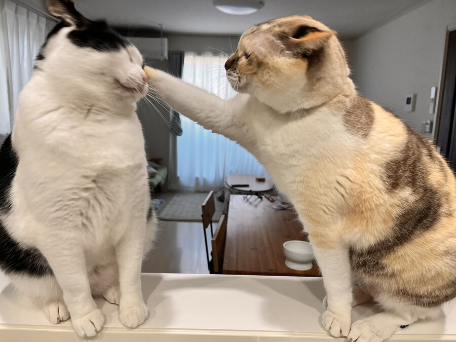 조용히 하세요!.jpg_1.jpg