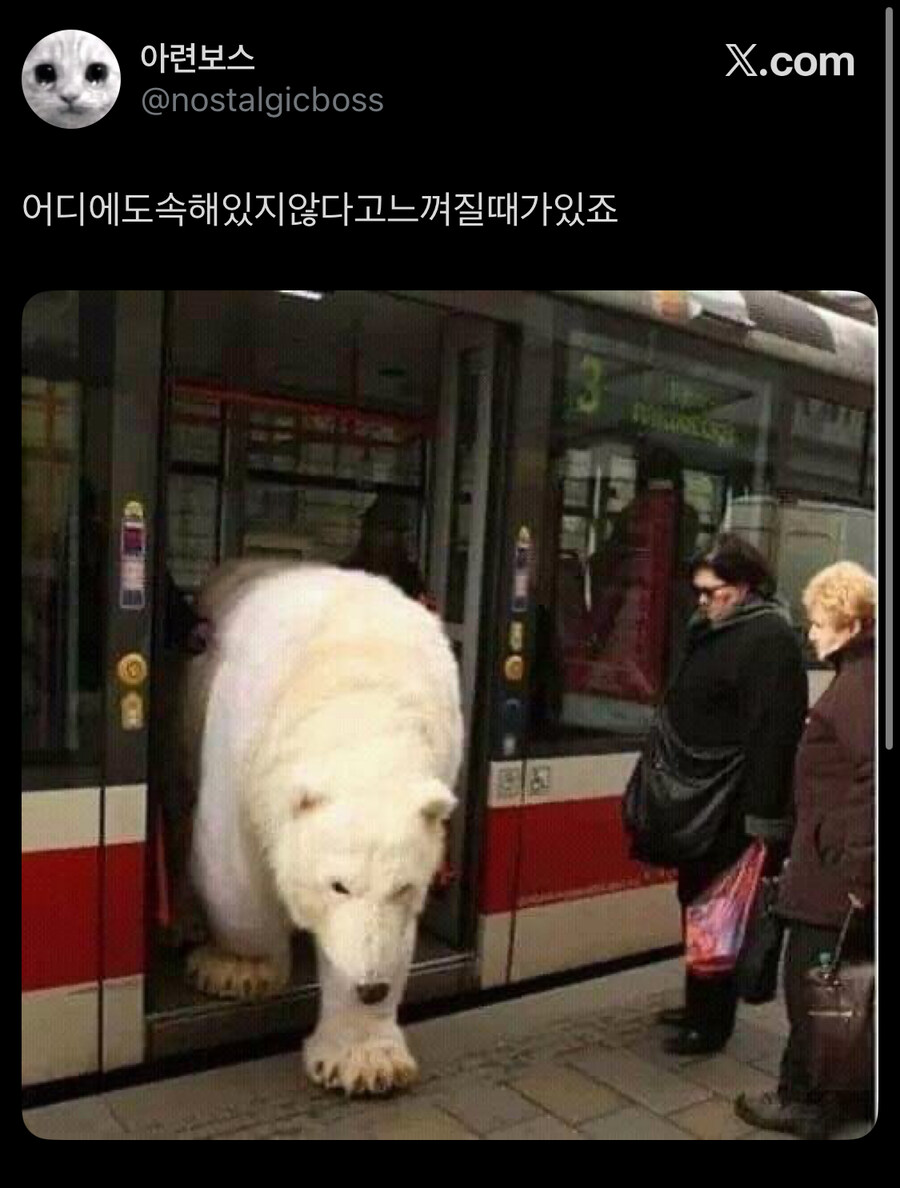 외로운 북극곰_1.jpg