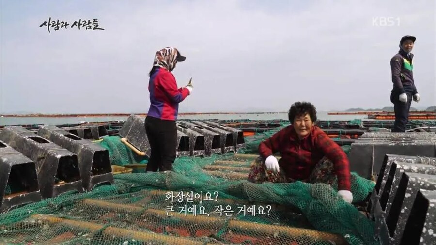 유독 우리나라 굴을 먹으면 식중독에 많이 걸리는 이유_1.png