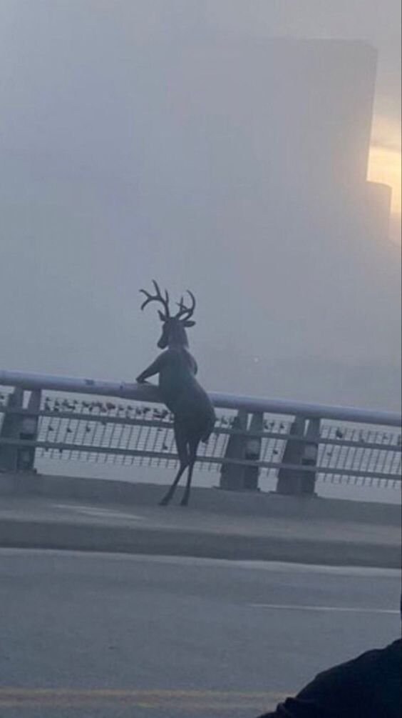 저도 이제 늙고 병들었으니 위험수당 좀 달라는게 그렇게 듣기 싫었나요_1.jpg