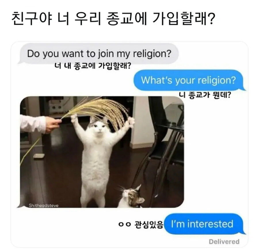 우리 종교에 가입할래냥?_1.jpg
