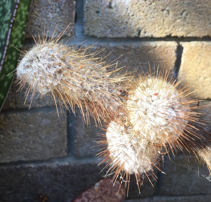 양질의 글을 작성해서 죄송합니다._5.jpg