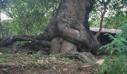 양질의 글을 작성해서 죄송합니다._6.jpg