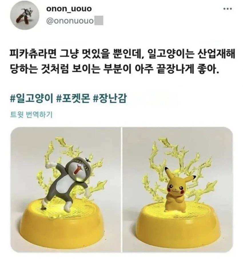피카츄와 좋았어 고양이의 차이.JPG_1.webp