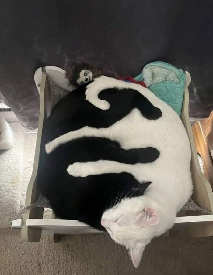 음양의 조화_1.jpg