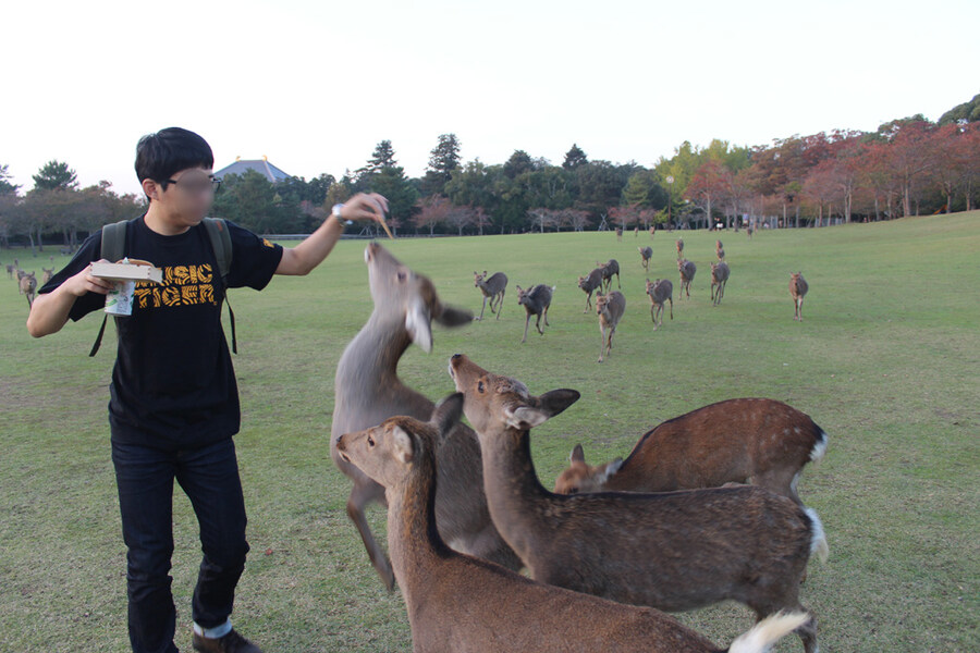지역 생태계 강자인 생물_1.jpg