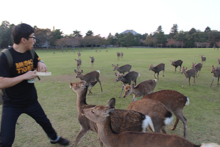 지역 생태계 강자인 생물_2.jpg