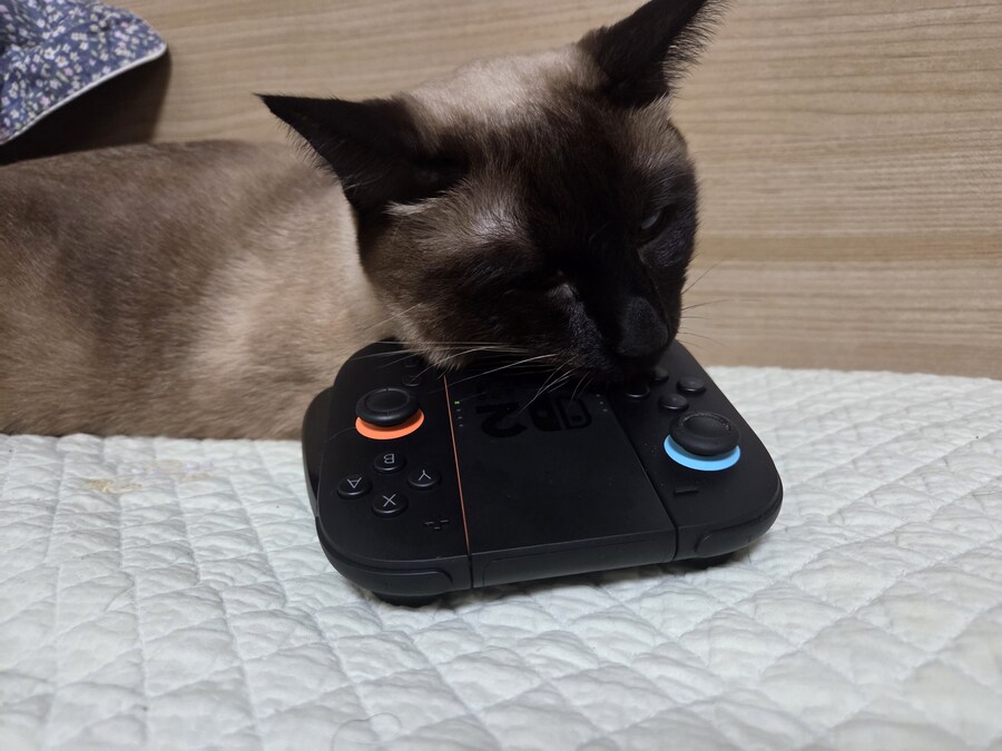 똥겜 이야기는 집어치우고 고양이 자랑질이나 해보시죠~~_12.jpg