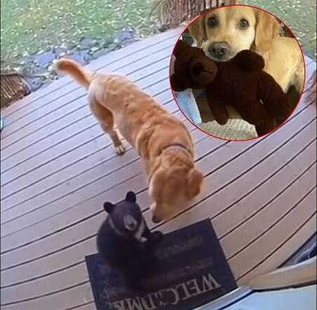 쭈인님! 제 친구가 살아났어용!_1.jpg