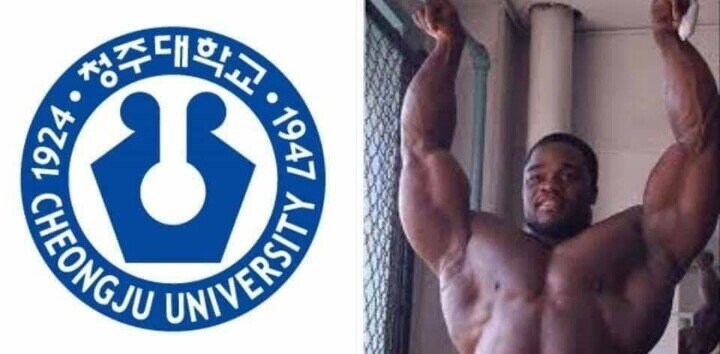 대학교 마크의 의미_2.jpg